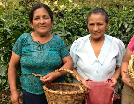 Peru Café Femenino (økologisk)